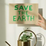 Tips for Creating a Sustainable and Eco-Friendly Home Environment