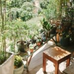 Tips for Creating a Relaxing Home Garden Space