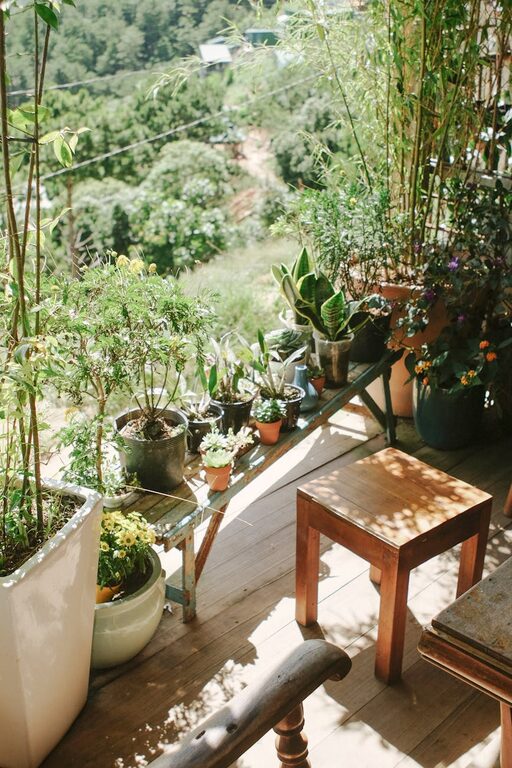 Tips for Creating a Relaxing Home Garden Space